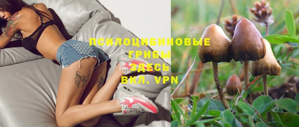 ALPHA PVP Армянск