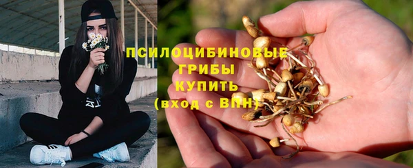 гидропоника Арсеньев